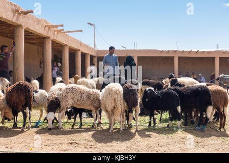 Rissani, Marokko - 9. Mai 2017: Zwei Marokkaner beobachten Schafe auf dem Schafmarkt in Rissani, Marokko, Afrika. Stockfoto