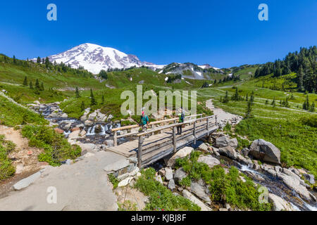 Myrtle Falls am Edith Creek auf dem Myrtle Falls Trail im Paradise-Abschnitt des Mount Rainer National Park im US-Bundesstaat Washington Stockfoto