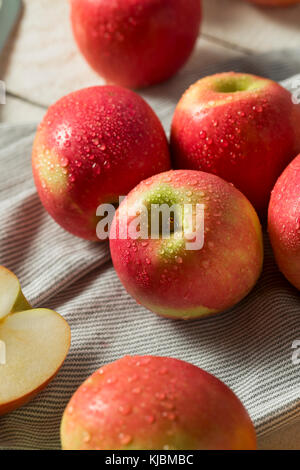 Raw rot Organic pink lady Äpfel bereit zu essen Stockfoto