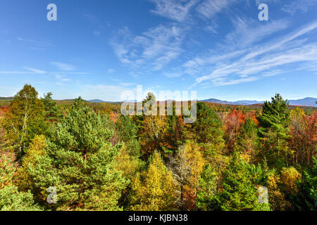 Adirondacks peak Falllaub in Upstate New York. Stockfoto