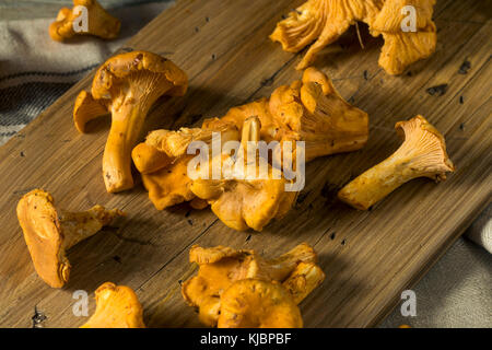 Raw orange Bio Pfifferlinge bereit zu kochen Stockfoto