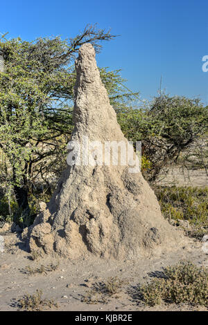 Riesige termitenhügel Damm in Etosha National Park, Namibia, Afrika. Stockfoto