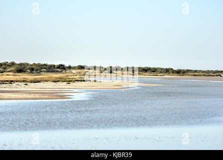 Landschaft von Namutoni Restcamp im Etosha National Park, Namibia. Stockfoto