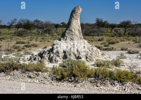 Riesige termitenhügel Damm in Etosha National Park, Namibia, Afrika. Stockfoto