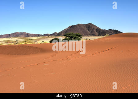 Wüste Landschaft im namibrand Nature Reserve in Namibia.