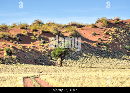 Wüste Landschaft im namibrand Nature Reserve in Namibia.