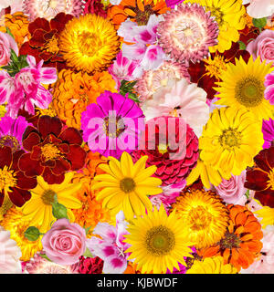 Nahtlose Muster mit unterschiedlichen Frühling Blumen. Hintergrund mit Sonnenblumen, Hibiskus, Rose, Ringelblume und anderen hellen Pflanzen. Stockfoto