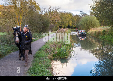 Pferdekutschen schmalen Boot. Frau führt ein Pferd auf einem leinpfad beim Ziehen einer 15-04 auf der Cromford Canal, Derbyshire, England, Großbritannien Stockfoto