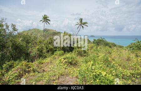 Atemberaubende Pazifik Wasser und üppige, tropische Vegetation unter einem blauen Himmel mit Wolken auf dravuni Island, Fidschi Stockfoto