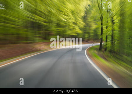 Auf asphaltierter Straße durch den Quellwald bei Amorbach im Odenwald, in Unterfranken, Bayern, Deutschland Stockfoto