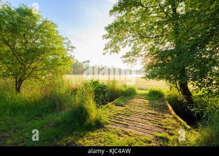 Holzbrücke über Strom zu Grasfeld im Morgenlicht in der Sprintime in Hessen, Deutschland Stockfoto