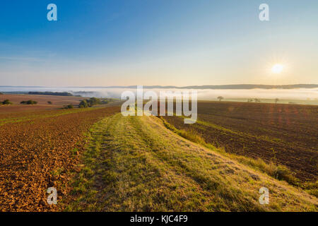 Landschaft mit Pfad und Morgennebel über den Feldern bei Sonnenaufgang in der Gemeinde Grossheubach in Bayern, Deutschland Stockfoto