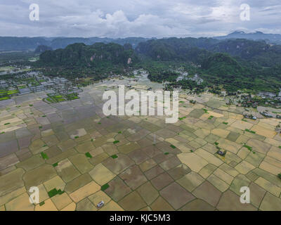 Überfluteten Reisfeld während der Regenzeit in rammang rammang Maros in der Nähe von makassar - Süd Sulawesi - Indonesien. Stockfoto