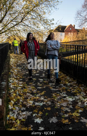 Herbstliche Farben auf Bäume und Laub in Salisbury Wiltshire Stockfoto