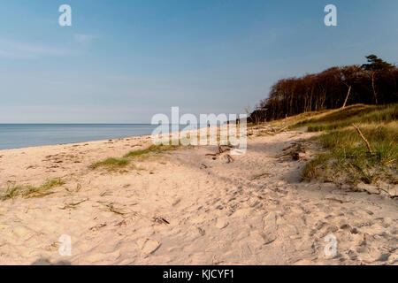 Ostsee Küste in der Nähe von Ahrenshoop in Deutschland Stockfoto