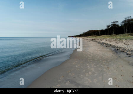 Ostsee Küste in der Nähe von Ahrenshoop in Deutschland Stockfoto