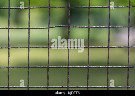 In der Nähe von Metall Zaun. Rostige Gitter. Alte Kabel Gehäuse. Unscharf Vegetation im Hintergrund. Park oder Garten. Vorstellung von Sicherheit, Unterdrückung, Freiheit. Stockfoto