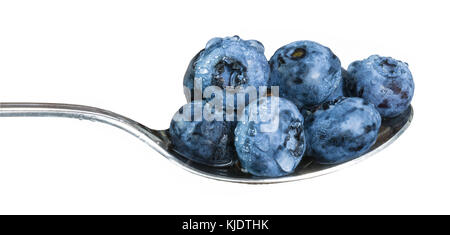 Taufrische Blaubeeren auf glänzendem Edelstahl Löffel. frisch gewaschene Heidelbeeren voller Vitamine und Antioxidantien. auf weißem Hintergrund. Stockfoto