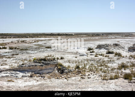 Der Etoscha Pfanne ist ein großer endorheic Salzpfanne, die Teil der Kalahari Becken im Norden Namibias. Stockfoto