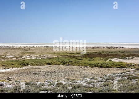 Der Etoscha Pfanne ist ein großer endorheic Salzpfanne, die Teil der Kalahari Becken im Norden Namibias. Stockfoto