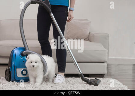 Frau mit Vakuum stehend mit flauschigen weißen Hund Stockfoto