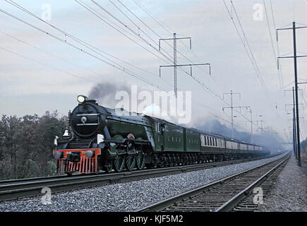 Flying Scottsman an Glenndale, MD am 25. Oktober 1969 (24242813145) Stockfoto