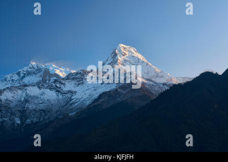 Annapurna Süd bei Sonnenaufgang, gorepani, Nepal Stockfoto