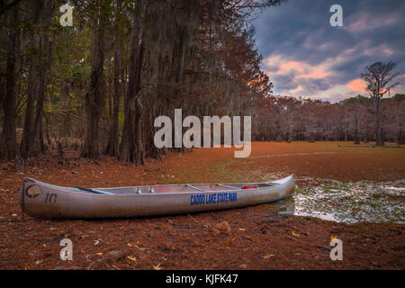 Caddo Lake ist ein See und Feuchtgebiet an der Grenze zwischen Texas und Louisiana. Stockfoto