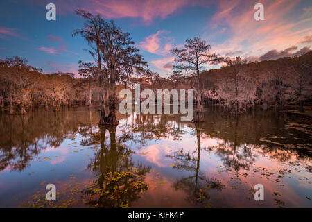 Caddo Lake ist ein See und Feuchtgebiet an der Grenze zwischen Texas und Louisiana. Stockfoto