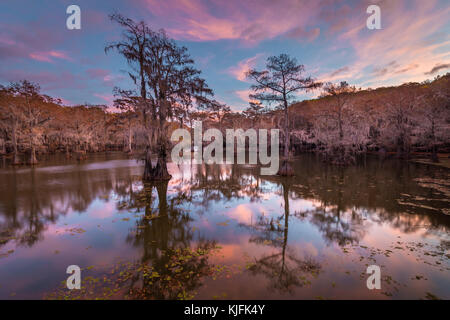 Caddo Lake ist ein See und Feuchtgebiet an der Grenze zwischen Texas und Louisiana. Stockfoto