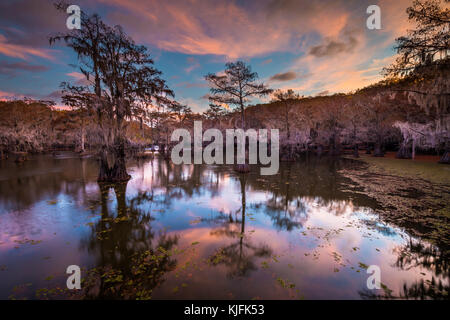 Caddo Lake ist ein See und Feuchtgebiet an der Grenze zwischen Texas und Louisiana. Stockfoto