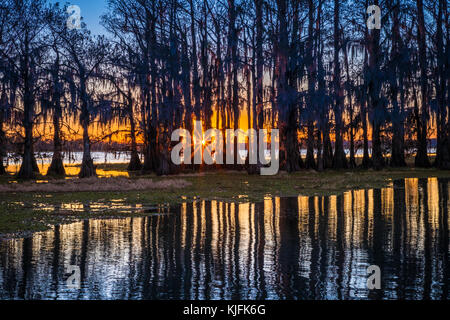 Caddo Lake ist ein See und Feuchtgebiet an der Grenze zwischen Texas und Louisiana. Stockfoto