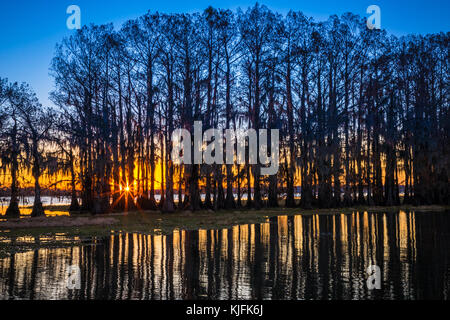 Caddo Lake ist ein See und Feuchtgebiet an der Grenze zwischen Texas und Louisiana. Stockfoto