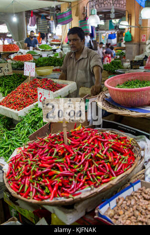 Chilis an einem Marktstand auf dem zentralen Markt in Port Louis, Mauritius, Afrika. Stockfoto