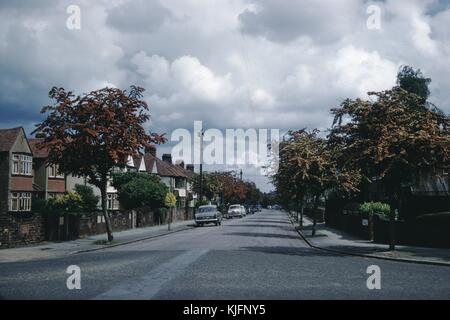 Ein Foto, das einen Blick auf eine Straße bietet, die von Bäumen und Häusern gesäumt ist, die Häuser scheinen gemauert zu sein, einige der Häuser sind weiß gestrichen, alle Häuser befinden sich hinter Steinzäunen, Oldtimer stehen entlang der Straße, 1952. Stockfoto