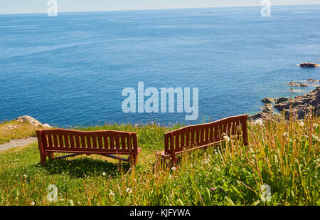 Holz- clifftop Sitze auf der atlantischen Küste von Kanada, Avalon Halbinsel, Neufundland, Kanada Stockfoto