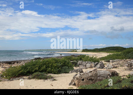 Strand, unbebaute Küste, Insel Cozumel, Isla de Cozumel, Quintana Roo, Mexiko, der Karibik Stockfoto