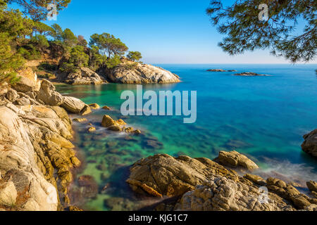 Schönes Detail an die spanische Küste Costa Brava, Platja de Aro Stockfoto