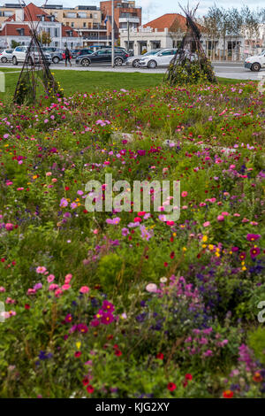 Kommunale blumen Betten mit einem pollinator flower Mix gepflanzt, um die Tierwelt und sehen toll aus. Place du Minck, Dünkirchen, Frankreich Stockfoto