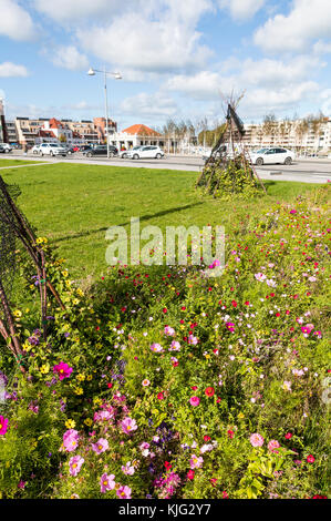 Kommunale blumen Betten mit einem pollinator flower Mix gepflanzt, um die Tierwelt und sehen toll aus. Place du Minck, Dünkirchen, Frankreich Stockfoto