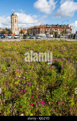 Kommunale blumen Betten mit einem pollinator flower Mix gepflanzt, um die Tierwelt und sehen toll aus. Place du Minck, Dünkirchen, Frankreich Stockfoto