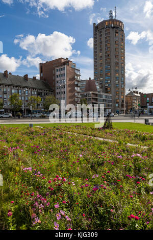 Kommunale blumen Betten mit einem pollinator flower Mix gepflanzt, um die Tierwelt und sehen toll aus. Place du Minck, Dünkirchen, Frankreich Stockfoto