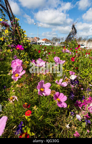 Kommunale blumen Betten mit einem pollinator flower Mix gepflanzt, um die Tierwelt und sehen toll aus. Place du Minck, Dünkirchen, Frankreich Stockfoto