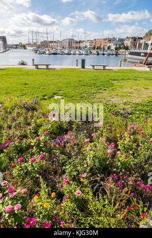 Kommunale blumen Betten mit einem pollinator flower Mix gepflanzt, um die Tierwelt und sehen toll aus. Place du Minck, Dünkirchen, Frankreich Stockfoto