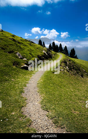 Das Foto wurde im Qingjing Bauernhof in Taiwan-Taichung genommen, das ist ein berühmtes Bauernhof mit Tieren wie Schafe mit brillanten Bergblick füllt. Stockfoto