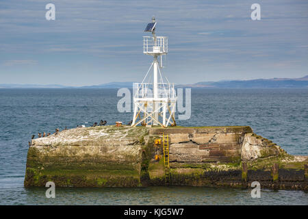 Solar pwered Licht am Eingang zum Hafen von Ayr, Schottland, Großbritannien. Stockfoto