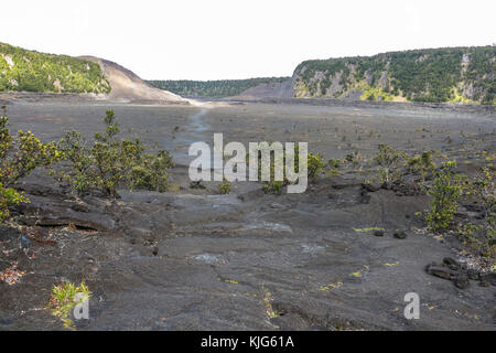 Spaziergang an kalten Magma See in Volcano National Park, Illinois Stockfoto