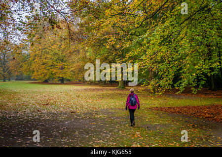 Die Frau, die zu Fuß in den Tiergarten in Berlin im Herbst, Deutschland, EU Stockfoto