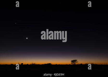 Namibia, Region Khomas, in der Nähe von Uhlenhorst, Astrophoto, aufgehenden Mond und Planeten Venus über eine leuchtende Savanne Horizont Stockfoto