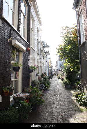 Malerische Gasse mit Blumen, Innenstadt von Kampen, Overijssel, Niederlande Provinz eingerichtet Stockfoto